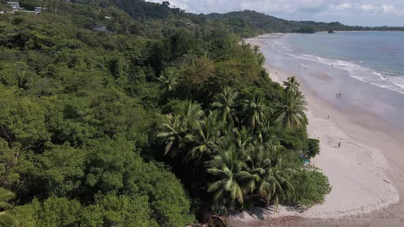 beautiful drone flight with the huge jungle and beach on the west coast where the Pacific Ocean meet