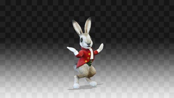 Rabbit Oliver Simple Dance