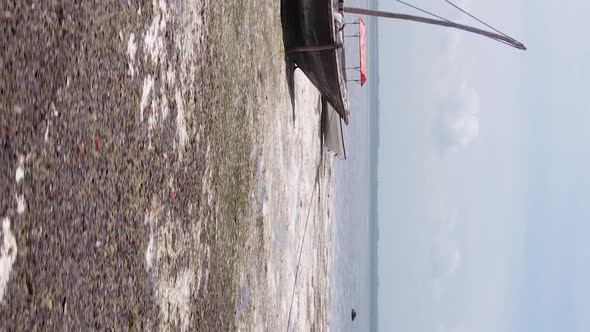 Zanzibar Tanzania  Vertical Video of Low Tide in the Ocean Near the Coast Slow Motion