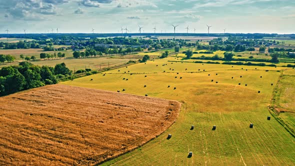 Field and sheaves of hay. Aerial view of agriculture, Poland.