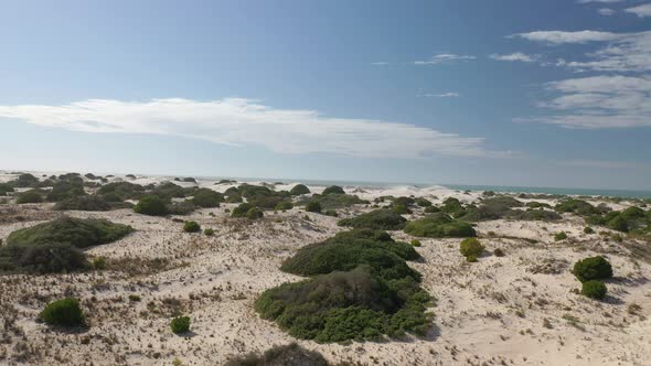 Sand Dunes Wind Gust in Eucla, Nullabor, Western Australia 4K Aerial Drone