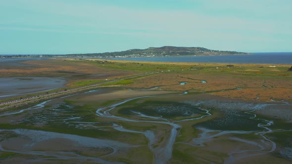 Irish Estuary