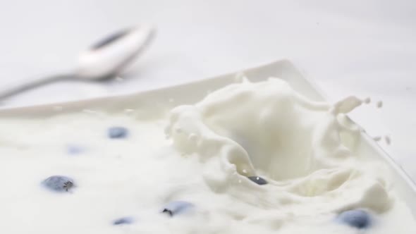 Blueberries falling in milk. Slow motion. Healthy food concept