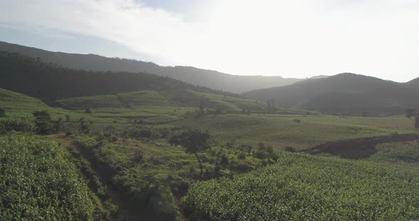 Farm Mountain Sunset Drone India Shot