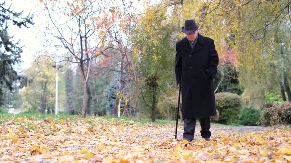 An Elderly Grandfather in a Black Coat with a Stick Walks in the Autumn Park