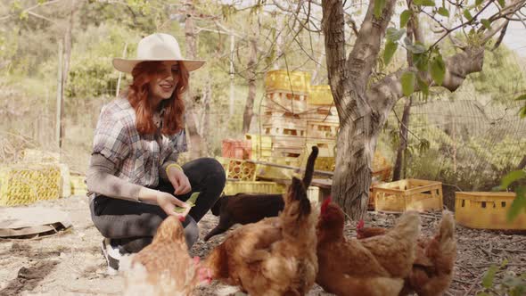 Girl Collects Eggs From the Chicken Coop