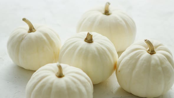 White Small Pumpkins 