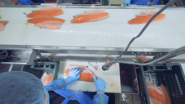 A Person Cuts Off Fins on a Fish, Top View.