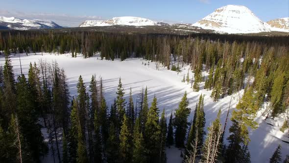 Flying view over a frozen forest in the mountains