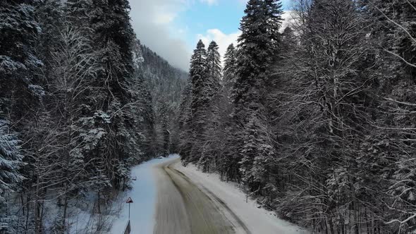 Aerial View Mountain Road Through Snowy Coniferous Forest in Winter