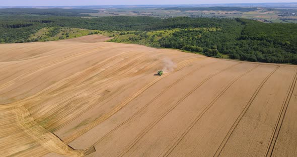 Combine Harvester Works In The Field Harvesting