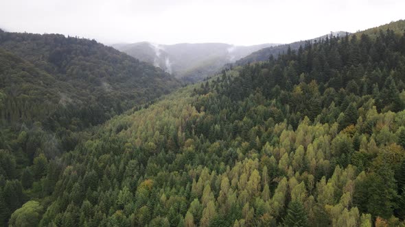 Aerial View of the Carpathian Mountains in Autumn. Ukraine