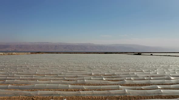 Flying slow and low over plants field under small protective plastic greenhouses, desert field, dron