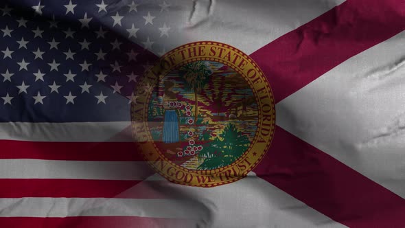 Florida State Usa Mixed Flag 4K