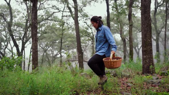 Woman collecting mushrooms in foggy forest