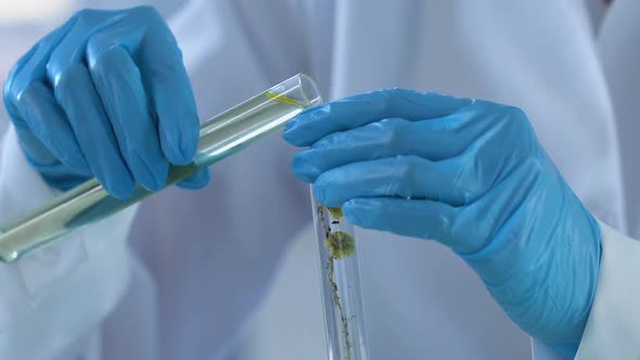 Worker of Cosmetology Laboratory Adding Sterile Liquid to Flower Extract