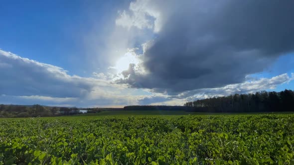 Timelapse of Rain Clouds Over the Forest