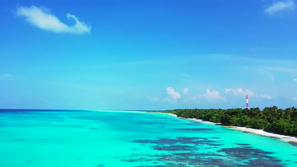 Aerial drone shot nature of beautiful coast beach wildlife by turquoise ocean and clean sand backgro