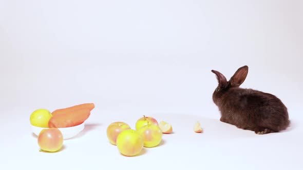 Cute Black Rabbit on a White Background with Apples and Carrots with Place for Text