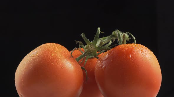 Three fresh organic Tomatoes On Black Background In Rotation. Close Up