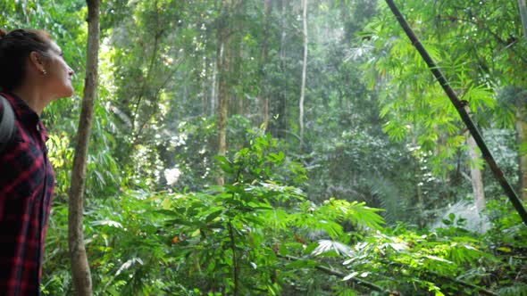 Woman in Checkered Shirt Walks in Breathtaking Lush Tropical Forest