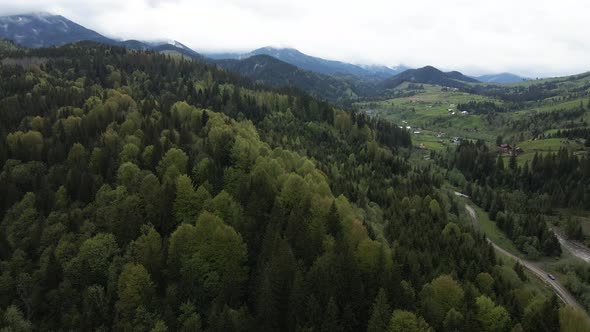 Ukraine, Carpathian Mountains: Beautiful Mountain Forest Landscape. Aerial