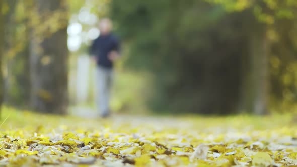 Young Man Runs in the Autumn Park