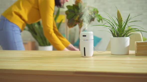 Girl Hand Includes Humidifier Care for Indoor Plants