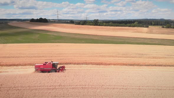 Harvester machine collecting ripe wheat crop on yellow farm field
