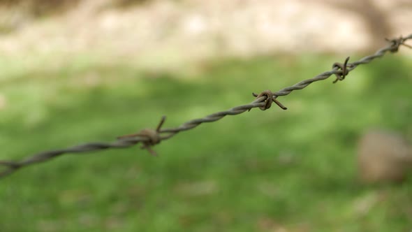 Barbwire fence on a farm, CLOSE UP, PAN RIGHT