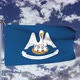 Louisiana Flag Waving - VideoHive Item for Sale