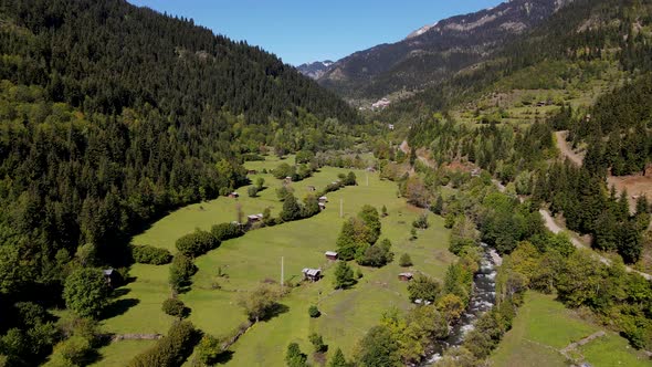 Pine Forests And Alpine Meadows