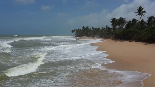 beach with waves and palm trees in cloudy weather