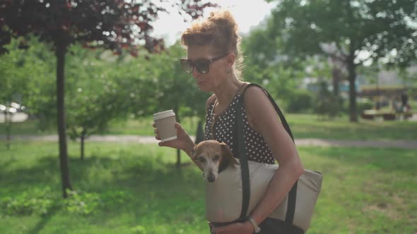 An Elderly Caucasian Woman Strolls with Her Dog in a Pet Carrier Bag and Drinks Coffee in Sunny