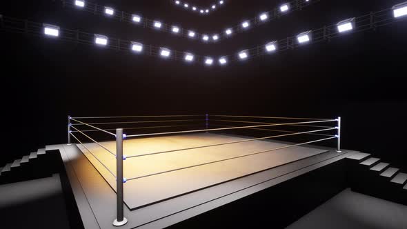 Sports Wrestling And Boxing. Sport 4K Professional Background Animation