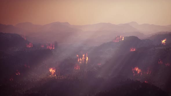 Wildfire Burns a High Mountain Forest Aerial View 01
