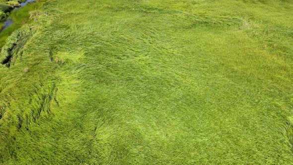 Cinematic reveal of green field grass in the wind, creek, lush trees, blue sky, cloud, and mountains