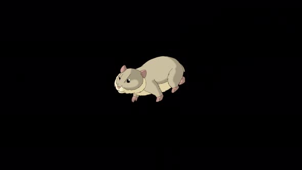 Grey hamster walks alpha matte 4K