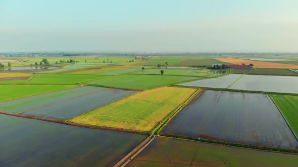 Aerial: Flying Over Rice Paddies, Flooded Cultivated Fields Farmland