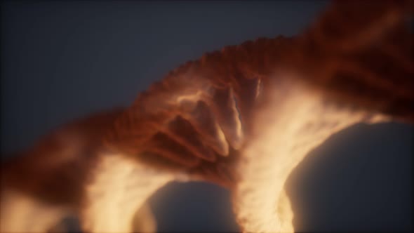 Loopable Structure of the DNA Double Helix Animation alt