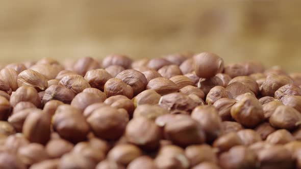 Dried Rotating Hazelnuts