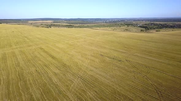 Aerial view of yellow agriculture wheat field afted harvesting in late summer