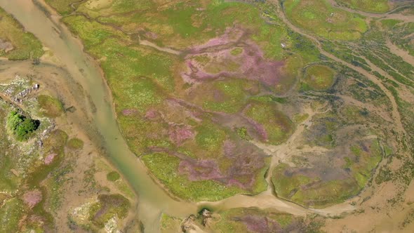 Aerial drone view of marsh wetland swaps landscape, forward, day