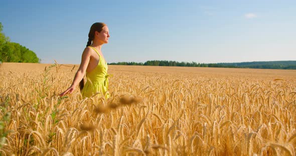 Carefree Woman Happy Walking Through a Field Touching with Hands Wheat Ears