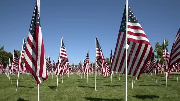 Walking down row of American Flags on display at park