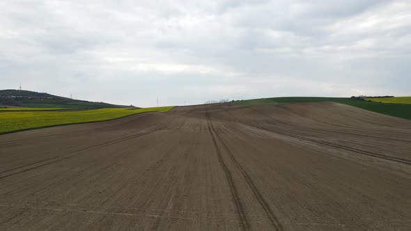 Aerial drone footage curvy beet field. Tuscany