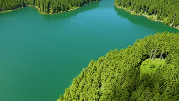 Aerial view of a forest lake. Top view of blue lake and green forests on a sunny summer day