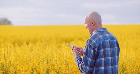 Agriulture - Farmer Using Digital Tablet Computer Against Yellow Rapeseed Field at Farm