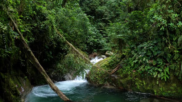 A tropical stream with a beautiful cascade in a tropical forest