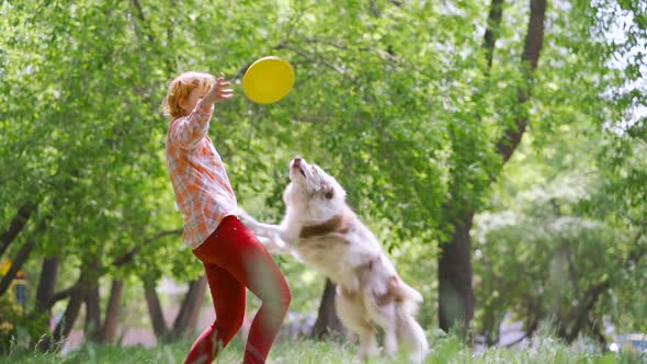 A Dog Border Collie Is Doing a Somersault in the Air Catching an Orange Frisbee That the Coach